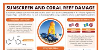 Science infographic – Chemical educator and Compound Interest blogger Andy Brunning reveals how sunscr…