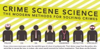 Science infographic – Crime-Solving Methods: A Pocket Guide
