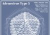 Science infographic – ELEANOR LUTZ TURNS ON THE LIGHT. “For science infographics, I try to find a vi…