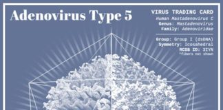 Science infographic – ELEANOR LUTZ TURNS ON THE LIGHT. “For science infographics, I try to find a vi…