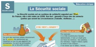 Science infographic – Educational infographic : Fiche exposés : La sécurité sociale