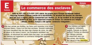 Science infographic – Educational infographic : Fiche exposés : Le commerce des esclaves…