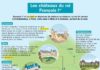 Science infographic – Educational infographic : Fiche exposés : Les châteaux du roi François Ier…