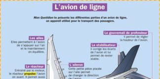 Science infographic – Educational infographic : L’avion de ligne