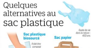 Science infographic – Environnement : le sac plastique a la vie dure