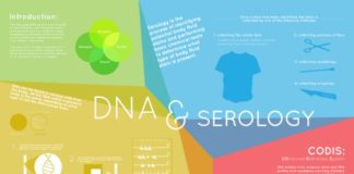 Science infographic – From the Austin Police Department: Forensic Science Division