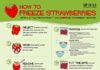 Science infographic – Gardening Solutions Infographics – Gardening Solutions – University of Florida, Institute of Food and Agricultural Sciences