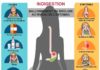 Science infographic – Indigestion : causes, symptômes & traitements | Creapharma