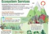 Science infographic – Infographic: Ecosystem Services
