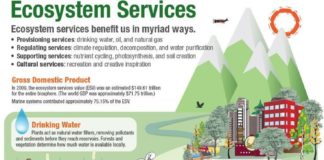 Science infographic – Infographic: Ecosystem Services