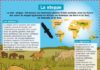 Science infographic – La steppe