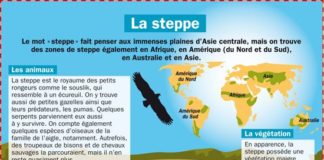 Science infographic – La steppe