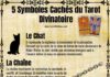Science infographic – Le Tarot Divinatoire : Quand une Question Vous Turlupine