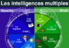 Science infographic – Les intelligences multiples à l’école