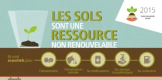 Science infographic – Les sols sont une ressource non renouvelable. Leur préservation est essentielle…