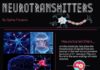 Science infographic – Neurotransmitters (Infographic)