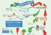 Science infographic – Science Careers