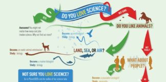 Science infographic – Science Careers