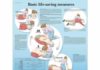 Science infographic – Science infographic – Basic Life Support Chart