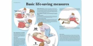 Science infographic – Science infographic – Basic Life Support Chart
