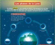Science infographic – Science infographic – Les phases de la Lune – Mon Quotidien, le seul site d’information quotidienn…