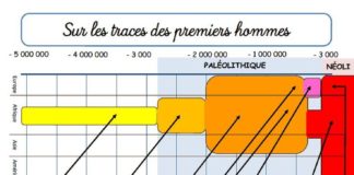 Science infographic – Science infographic – Préhistoire – La classe de Jenny