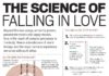 Science infographic – The Science of Falling in Love (Or the Nerve Growth Factor)