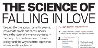 Science infographic – The Science of Falling in Love (Or the Nerve Growth Factor)