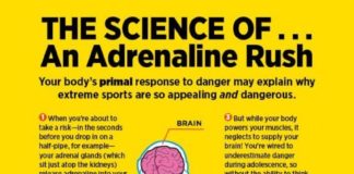 Science infographic – This classroom debate about extreme sports (and fun infographic on the science o…