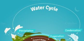 Science infographic – Water cycle infographic. Water Infographic