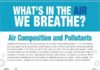 Science infographic – What’s in the Air we Breathe?