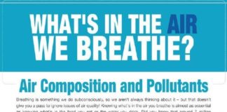 Science infographic – What’s in the Air we Breathe?