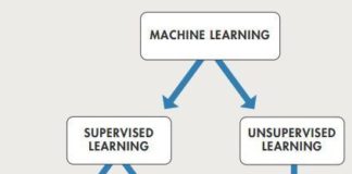 Science infographic – digital google drive word work for upper elementary subjects