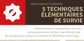 Travel infographic – 5 techniques élémentaires de survie