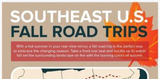 Travel infographic – Fall Road Trips Infographic