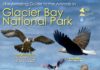 Travel infographic – Glacier Bay National Park Animals (Infographic)