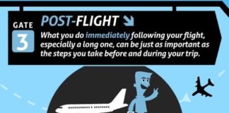 Travel infographic – Healthy Plane Travel Tips – Infographic