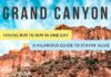 Travel infographic – Hiking the Grand Canyon Rim to Rim to Rim in 1 Day: How NOT to Die!