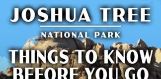 Travel infographic – Joshua Tree National Park Itinerary