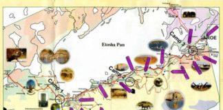 Travel infographic – Le Parc d’Etosha