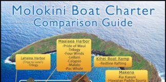 Travel infographic – Molokini Boat Charter Comparison Chart | Prices, Ratings, Location, Time