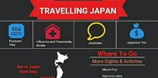Travel infographic – Proyecto