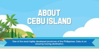 Travel infographic – Reasons To Visit Cebu #Island More