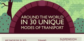 Travel infographic – Today’s WHY NOT comes to you courteously from someone who has way too much time …