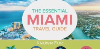 Travel infographic – Travel infographic Travel infographic The Essential Travel Guide to Miami (Infog…