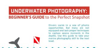 Travel infographic – Underwater Photography: Beginner's Guide to the Perfect Snapshot