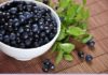 Travel infographic – Vitamins In Blueberries, Nature’s Own Multivitamin