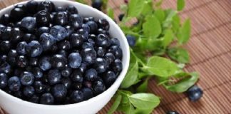 Travel infographic – Vitamins In Blueberries, Nature’s Own Multivitamin