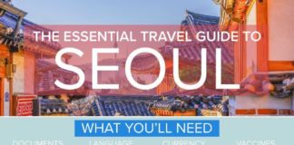 Travel infographic – Your Essential Travel Guide to Seoul (Infographic)