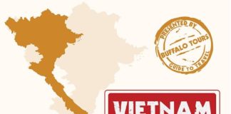 Travel infographic – infographic Vietnam travel tips